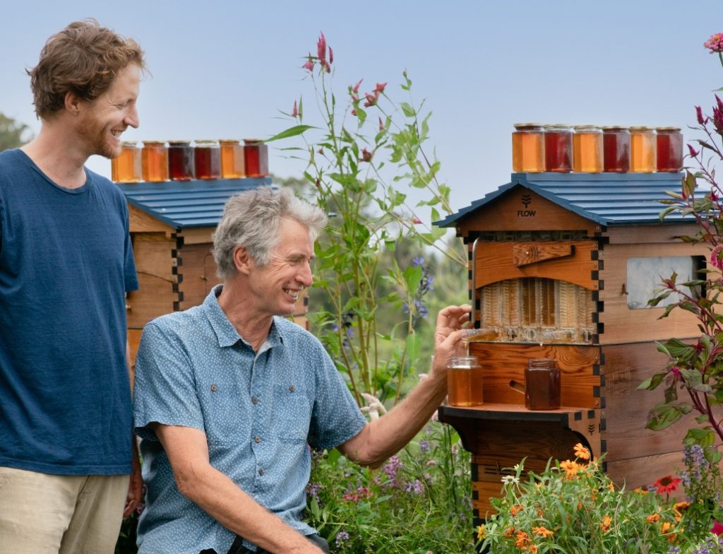 flow hive abejas flow hive abejas