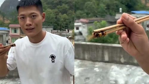 avispa influencer avispa influencer