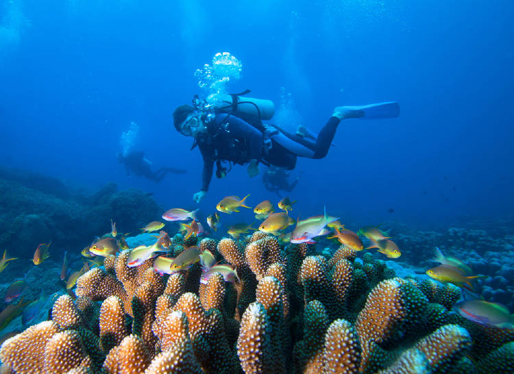 buceo en raja ampat