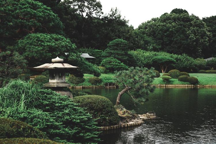jardin japones jardin japones