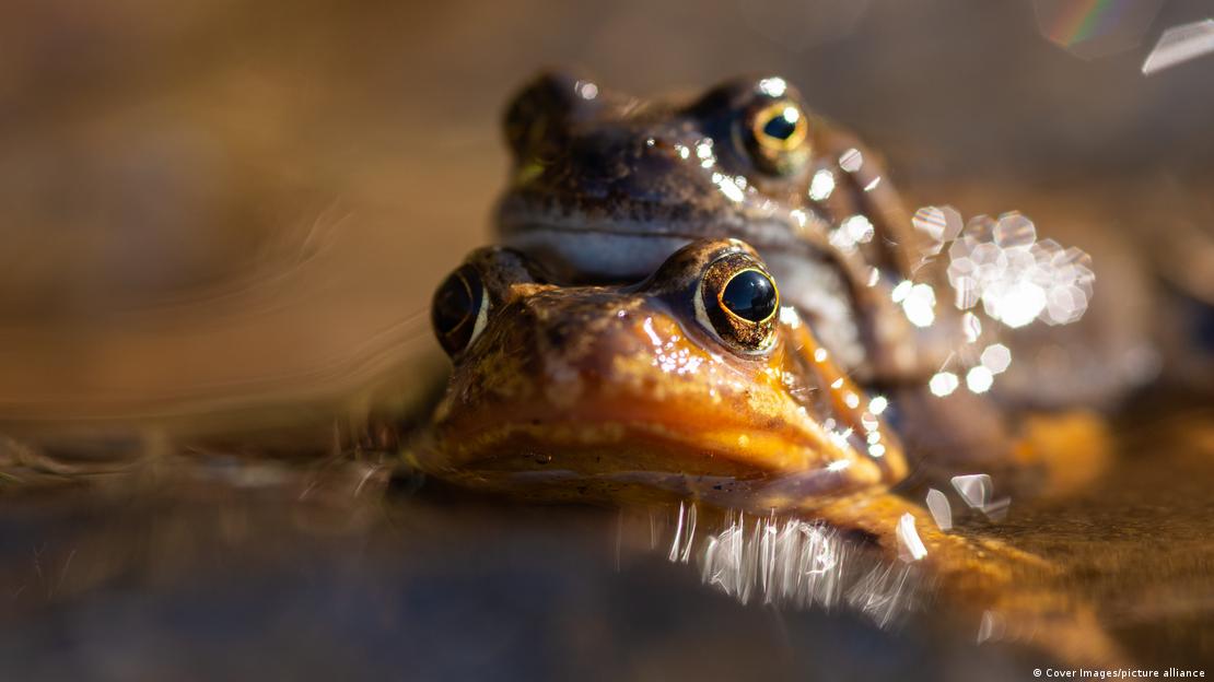 67113039_906 67113039_906