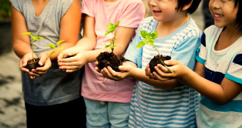 Niños con plantines en las manos