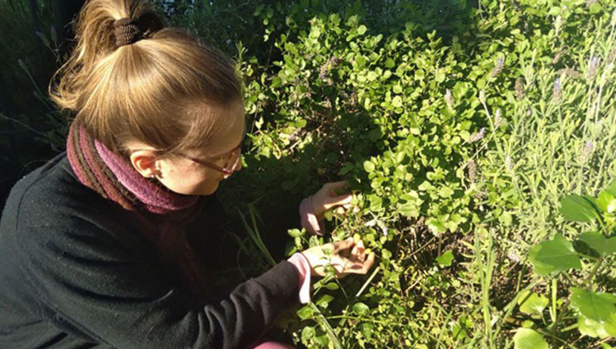 Elena Iakovleva 2 Elena Iakovleva 2