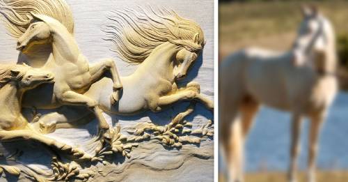 raza da caballos asitica dorados mas hermosos del mundo raza da caballos asitica dorados mas hermosos del mundo