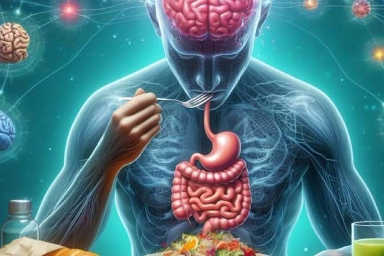 cerebro Un estudio reciente publicado en Nature sugiere que existe un “sexto sentido” oculto en el intestino, que regula el apetito a través de una compleja red de comunicación entre el microbioma intestinal y el cerebro. (PINTEREST)