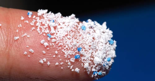 airbnb voluntarios antartida estudiar microplasticos airbnb voluntarios antartida estudiar microplasticos