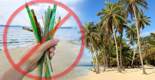 Jamaica hará ilegales las bolsas y popotes de plástico, y los contenedores de polietileno