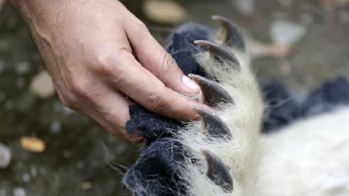 66282c68e4f0c 66282c68e4f0c