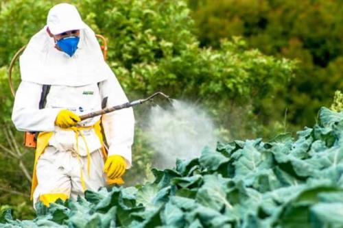 toxicos Fuente: www.paho.org