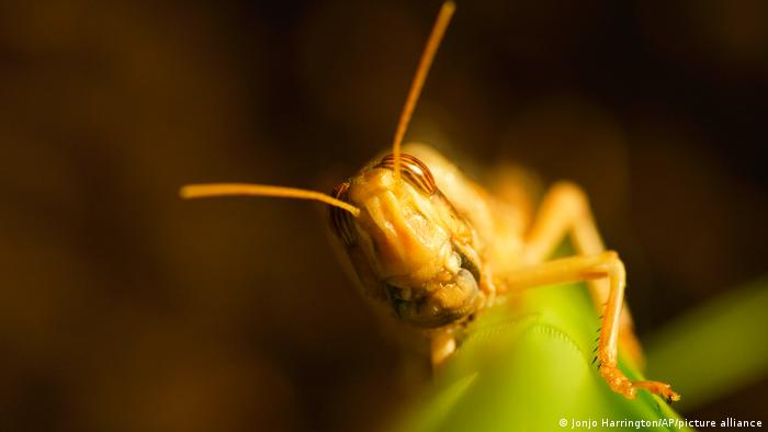 63409155_303 63409155_303