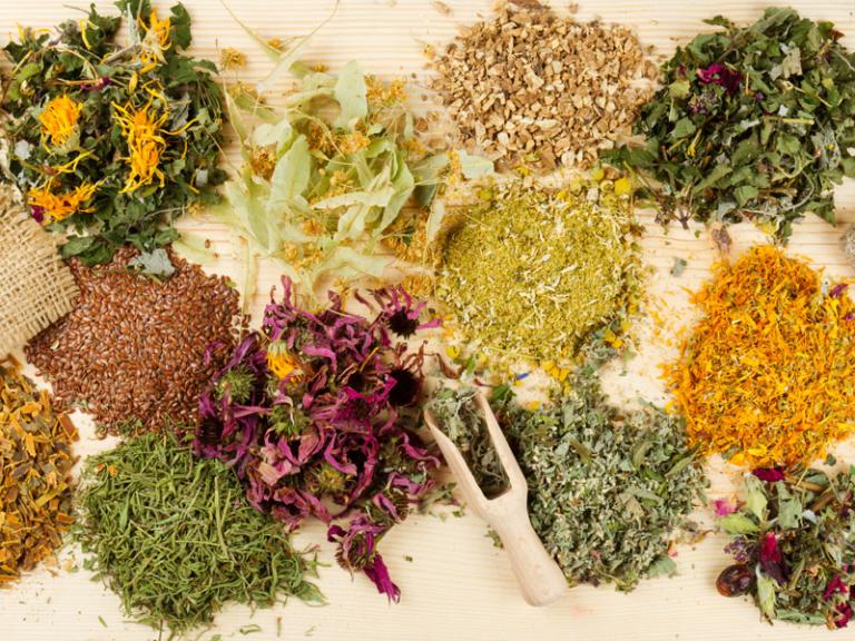 plantas medicinales plantas medicinales