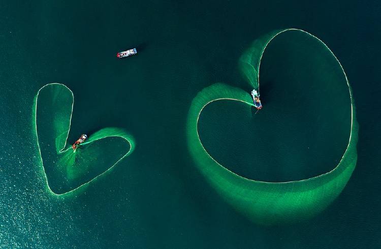 11 \'Hearts on the sea\' @phannguyen5285 Vietnam Nguyen Phan Xuan