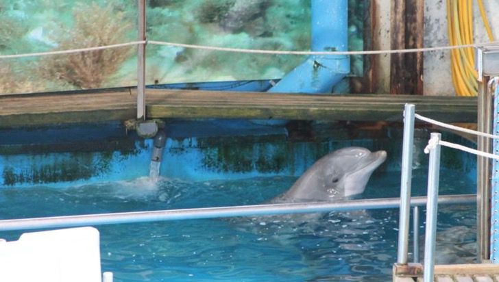 zoo-barcelona2 zoo-barcelona2