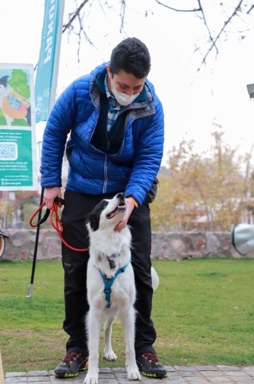 perrito-basura2 perrito-basura2