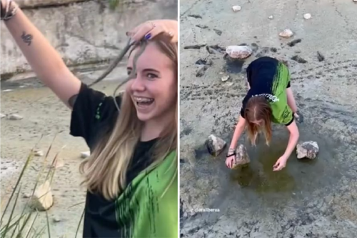 Collage portadas notas(6) Collage portadas notas(6)