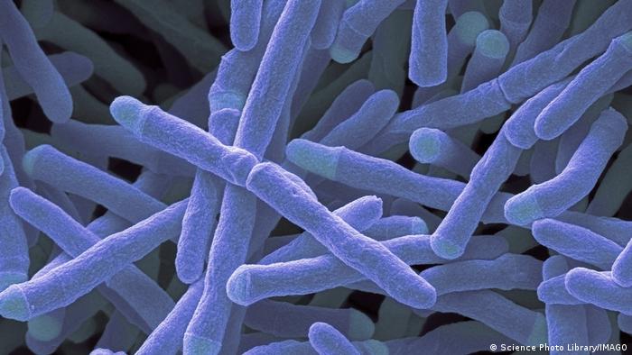 65016484_303 65016484_303