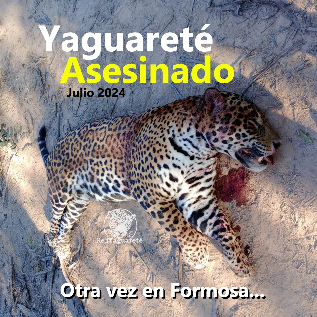 yaguarete asesinado