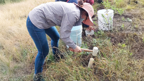 suelos mexico Universidad Nacional Autónoma de México.