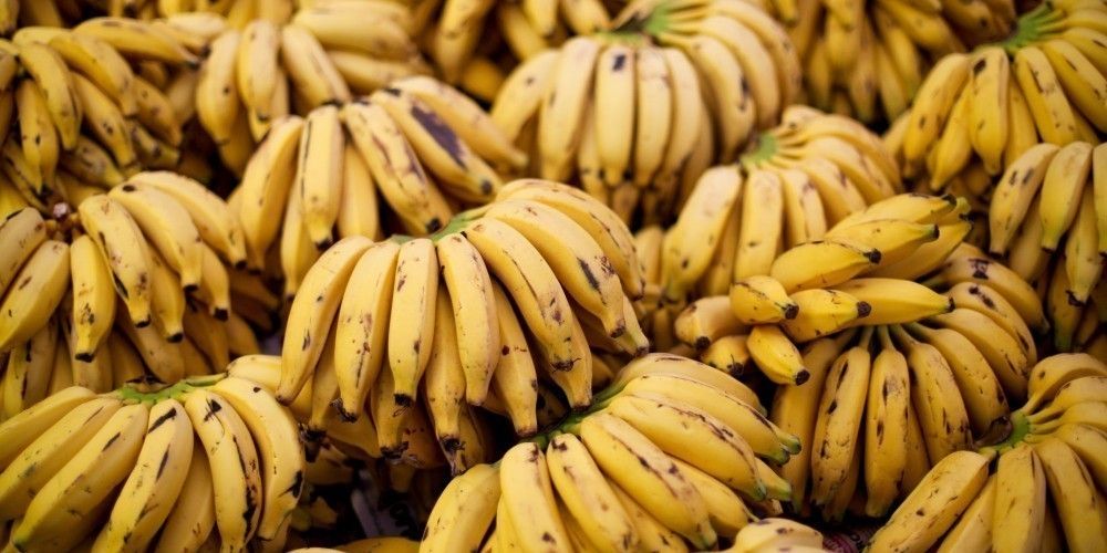 La 'Dieta del plátano' consiste en desayunar solo una plátano y un vaso de agua tibia La 'Dieta del plátano' consiste en desayunar solo una plátano y un vaso de agua tibia