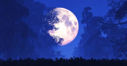 Viene la Superluna más grande del año