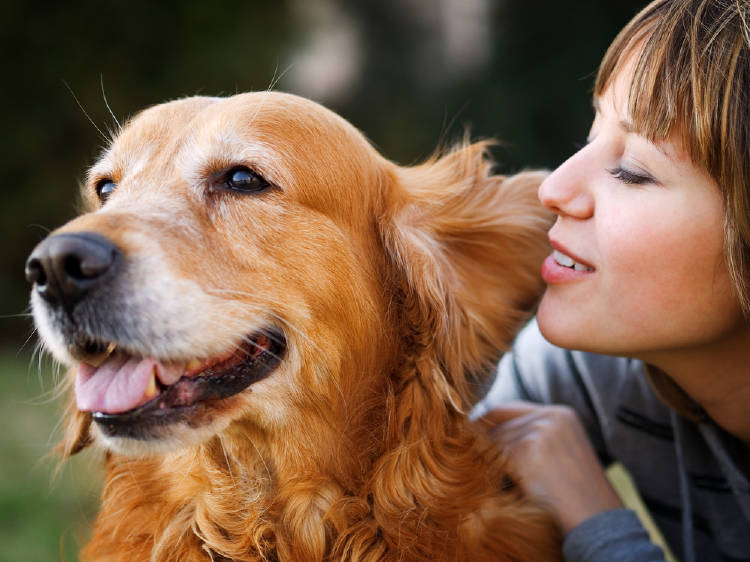 mujer le habla a un perro