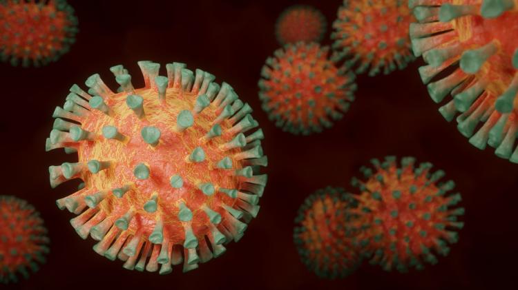 coronavirus coronavirus