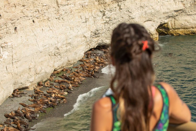 LISANDRO CRESPO 610 (2) LISANDRO CRESPO 610 (2)