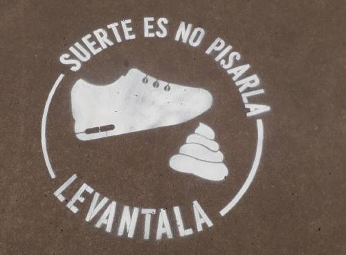 suerte es no pisarla2 suerte es no pisarla2