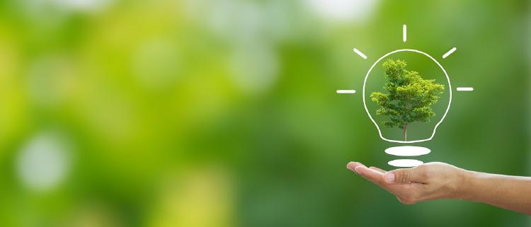 medio ambiente 3 Criptomoneda