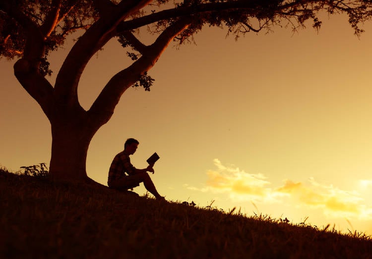 hombre leyendo parque