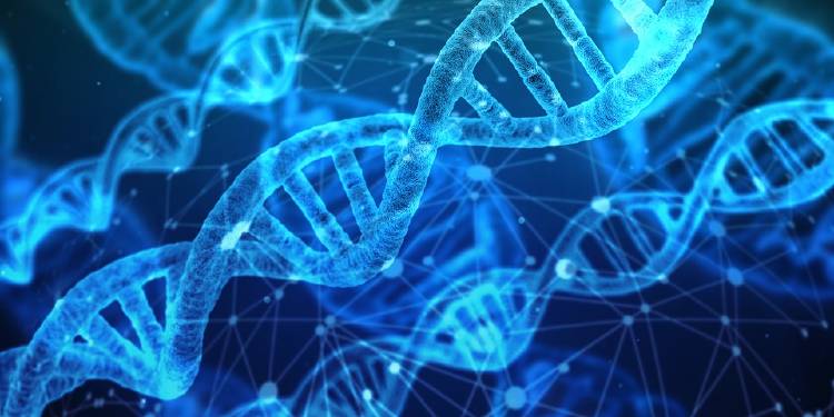 genes y cadena de adn