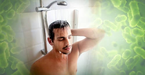 parte ducha posee germenes parte ducha posee germenes