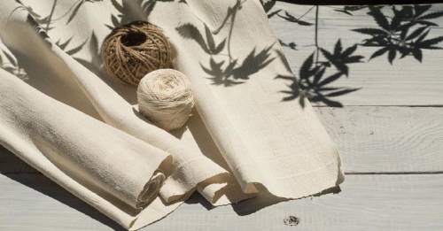 Fibra de cáñamo: ¿por qué es mejor que el algodón? Fibra de cáñamo: ¿por qué es mejor que el algodón?