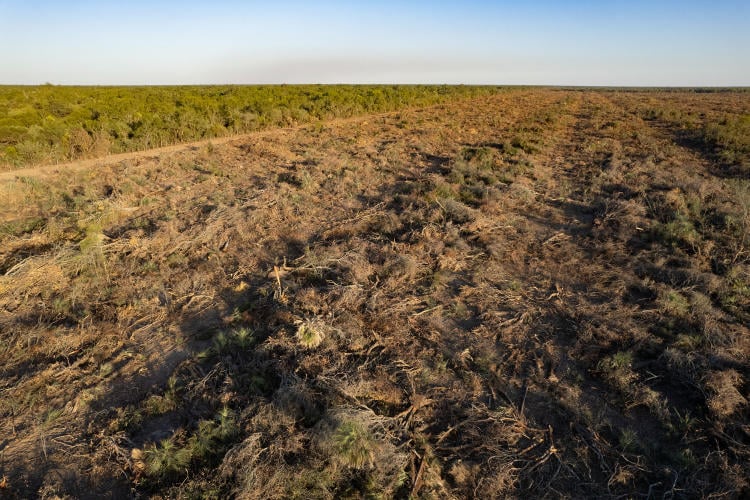  GPA Desmontes por Tierra Formosa (1) julio 2022