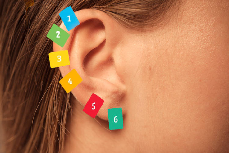 oreja reflexologia puntos de reflexologia en las orejas