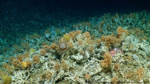 65378472_303 65378472_303