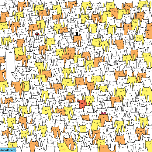 Reto visual Reto visual