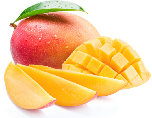 mango Descubren propiedades cicatrizantes en la cáscara de mango