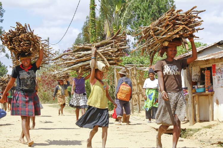 deforestacion madagascar