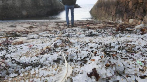 895beffb bf1f 4eaa b6a9 87e8c6dfb735_21 9 aspect ratio_default_0 895beffb bf1f 4eaa b6a9 87e8c6dfb735_21 9 aspect ratio_default_0