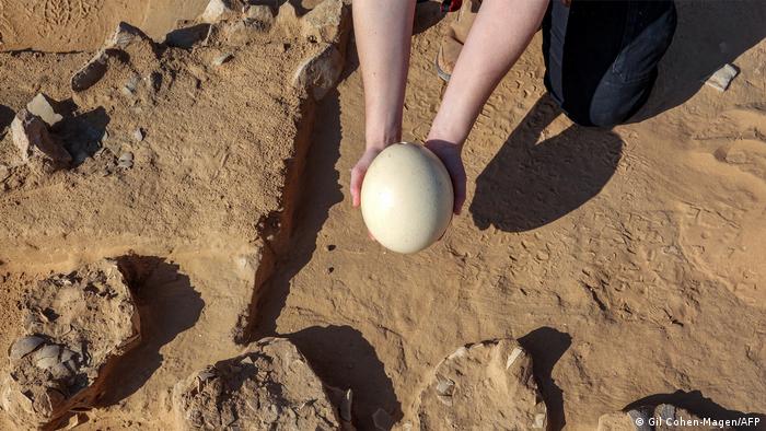 64443754_303 64443754_303