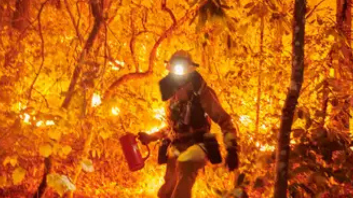 incendio eeuu En Estados Unidos, el estado más propenso a estos desastres es California, que perdió más de un millón de hectáreas de terreno debido a 7396 incendios forestales en 2021.