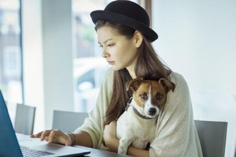 mujer con perro trabajando El \"salario emocional\" responde a la presencia de mascotas en la oficina (Foto: Pinterest)