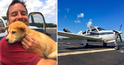 Este hombre compró un avión para rescatar a cientos de animales de los refugios