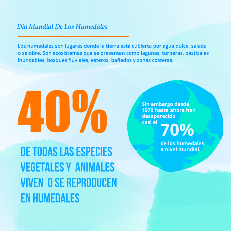 infografia humedales