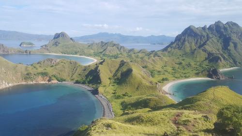 parque nacional de komodo El controvertido proyecto “Jurassic Park” de Indonesia avanza en el Parque Nacional de Komodo