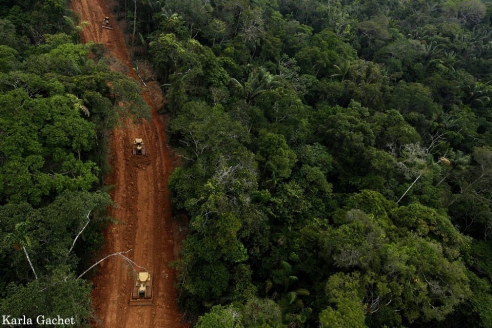 Polémica en Colombia por la ampliación de una carretera en el Amazonas