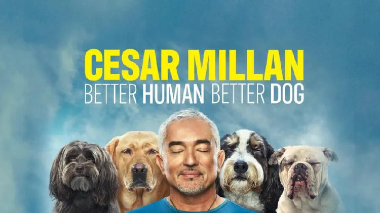 cesar millan