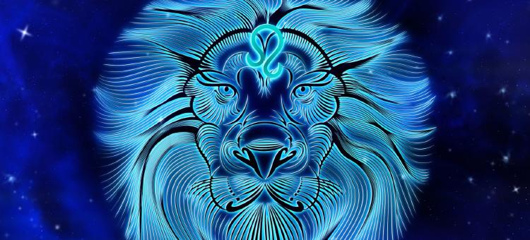 1638379775_110063_1638379853_gigante_normal 1638379775_110063_1638379853_gigante_normal