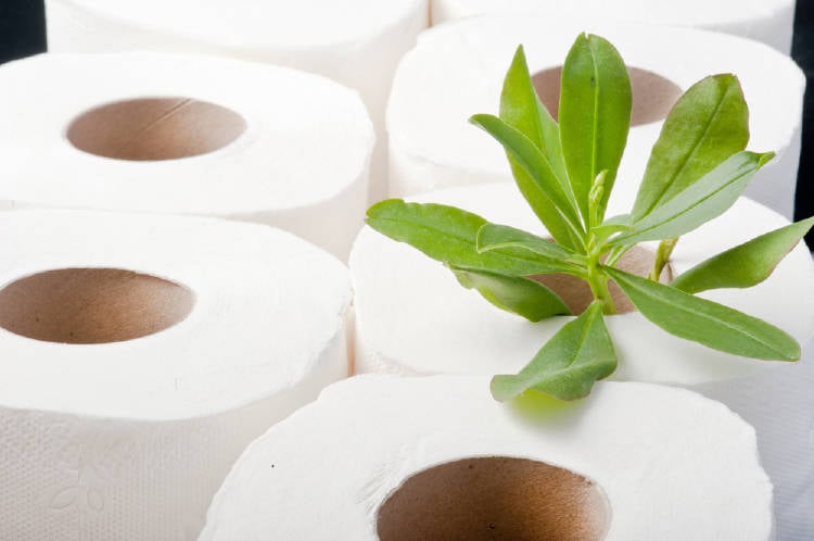 papel higienico papel higienico